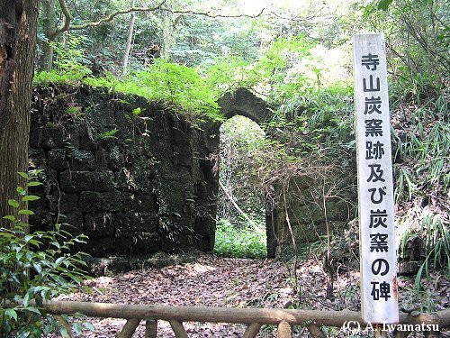 寺山炭窯跡(てらやますみがまあと)