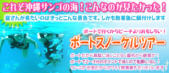 沖縄スノーケル　熱帯魚餌付けツアー